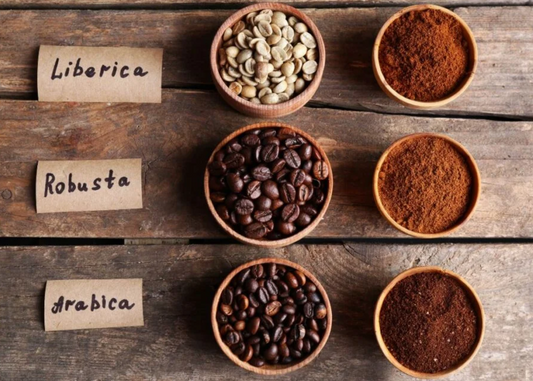 The Ultimate Guide to the World of Coffee